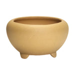 pots succulentes violet marron noir pierre mat classiqueintérieur décoration maisonjunction classicbeige