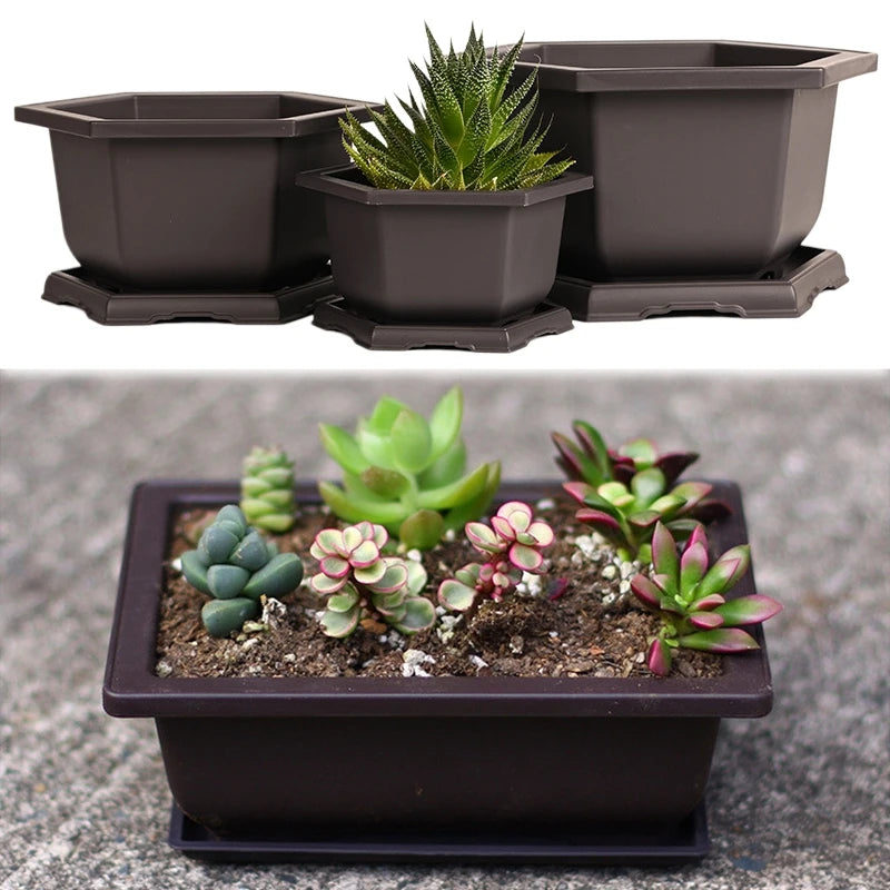 pot plante jardin extérieur marron moderne grille drainage fleurs succulentes bonsaï