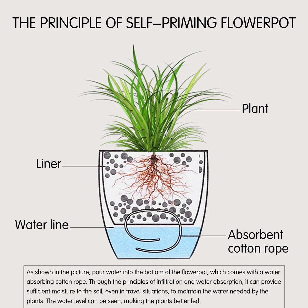 pot auto irriguant moderne indicateur eau fleur plante verte corde coton absorbant blanc opacité