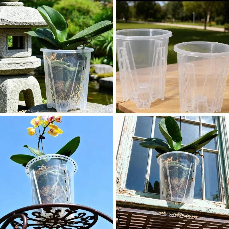 pots plante transparents perforations contrôle racines moderne adhésif orchidées fleur verte jardin