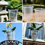 pots plante transparents perforations contrôle racines moderne adhésif orchidées fleur verte jardin