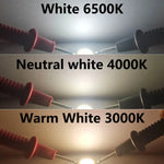 source lumineuse led blanc blanc chaud blanc naturel 12v 24v 19mm moderne opacité