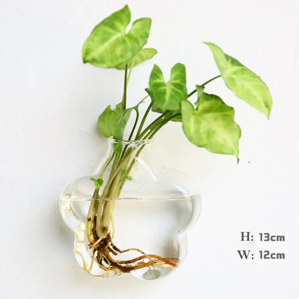 vase transparent moderne verre plante racines intérieur décoration hydroponique fleur