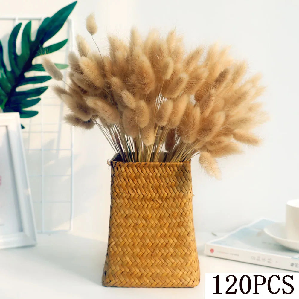 bouquets pampas naturels décoration maison beige blanc rustique anniversaire fête salon balcon