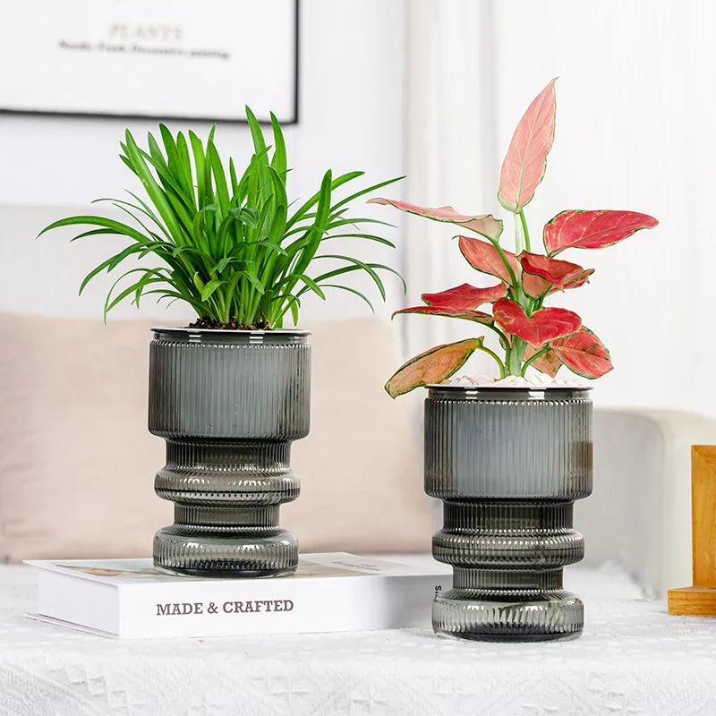 pot fleurs transparent rayures gris blanc moderne hydroponie intérieur succulente