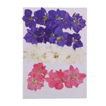 fleurs séchées naturelles violettes blanches roses décoration maison anniversaire art résine bougies petals stamens