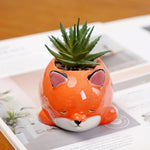 cache pots animaux mignons porc chien renard hérisson bleu rose gris orange blanc opacité