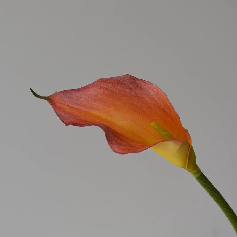 fleurs artificielles calla lily blanc rose orange vases transparents mariage anniversaireintérieurDecorationMinimaliste