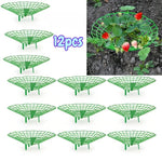 supports plante vert grille plastique anti putréfaction fruits jardinage pots fleurs