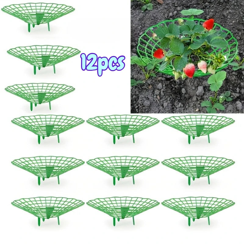 supports plante vert grille plastique anti putréfaction fruits jardinage pots fleurs