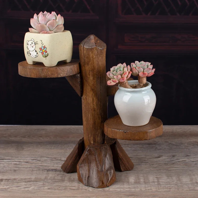 support plantes succulentes bois brut trois niveaux pots opaques rustique naturellementsucculentes