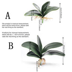 plantes artificielles feuilles larges décoration extérieure pots verre cadres photo moderne aménagement paysagerextérieur