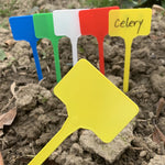 étiquettes jardinage bleu vert rouge blanc pratiques simples rectangulaires pointues 10 pièces