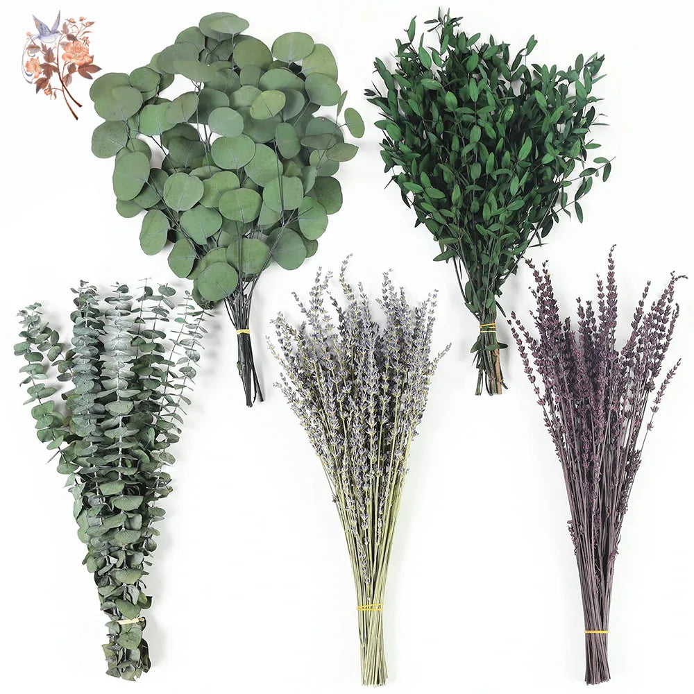 feuilles eucalyptus séchées bouquets fleurs naturelles décoration murale intérieure anniversaire baby shower fêtes rustique