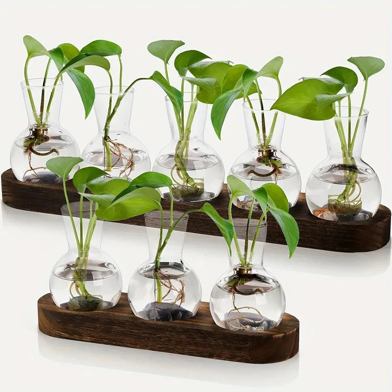vases transparents modernes plantes verre simple domicile bureauintérieur décoration hydroponique