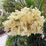 décoration intérieure branches fleurs artificielles cerises roses vertes mariage anniversaire