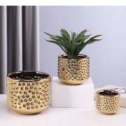 pots decoratifs ceramique or noir blanc texturé moderne agave monstera deliciosa