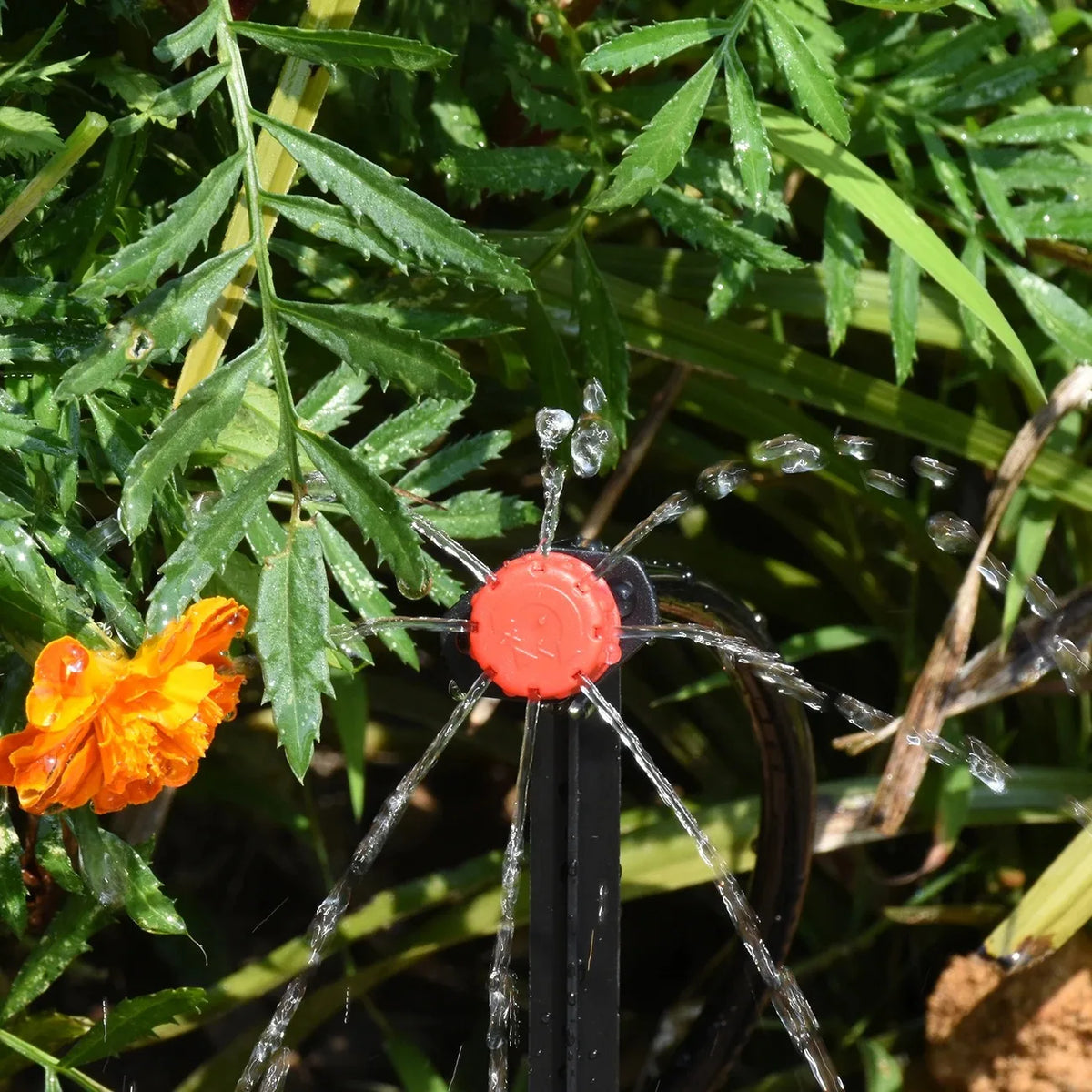 supports fixation tuyaux d'irrigation goutte goutte kit arrosage tiges plastique attaches colliers serrage jardinage