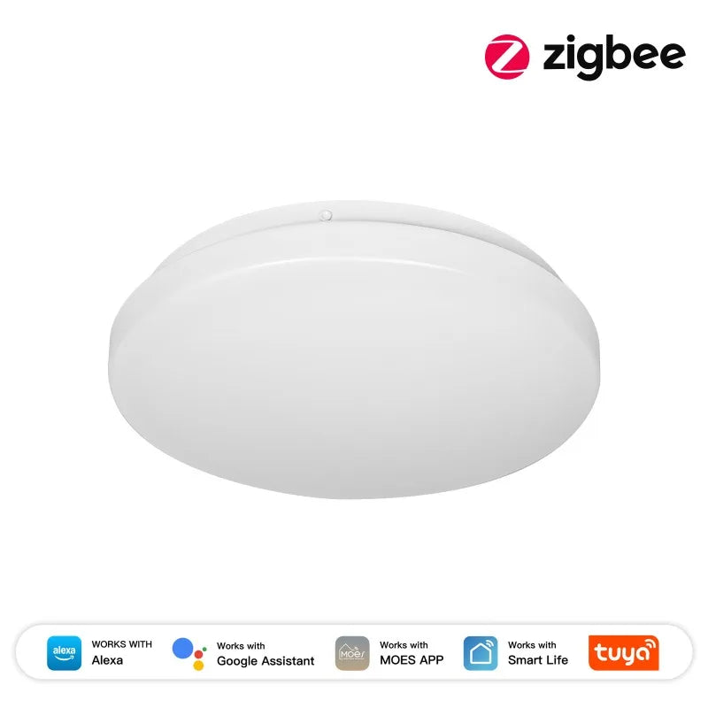 lampe intelligente blanc moderne zigbee led température couleur réglable alexa google