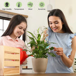 support plante grimpante nid d'abeille bois clair hexagonnel moderne minimaliste fixations piquets potextérieur