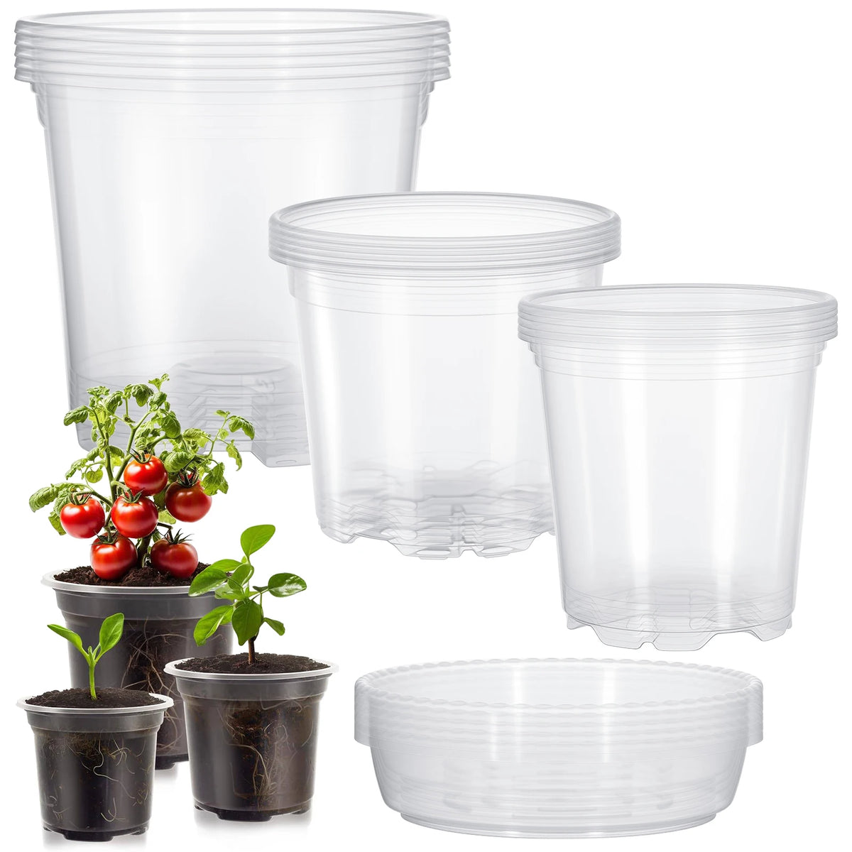 pots fleurs plastique moderne transparent intérieur drainage plantes semis minimaliste