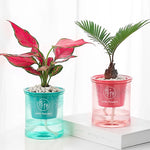 pots fleurs transparents texturés absorption eau automatisée plantes decoratives moderne minimaliste