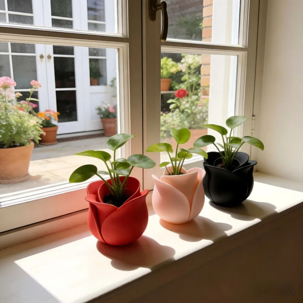 pots tulipe fleuri rose noir rouge modernes intérieur plantes vertes