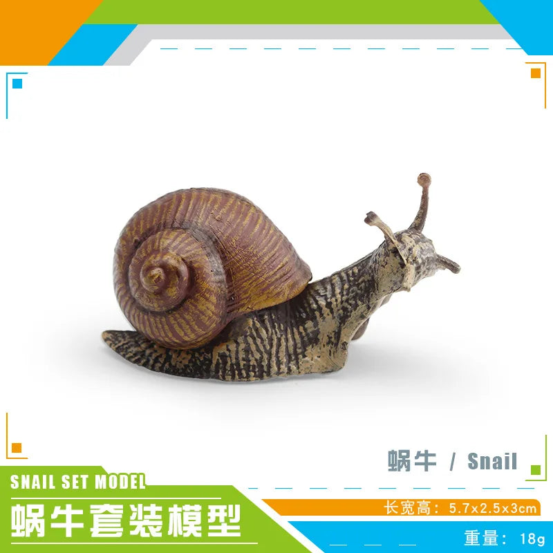 décoration miniature escargot coquille rayées réaliste couleur beige marron orange noir