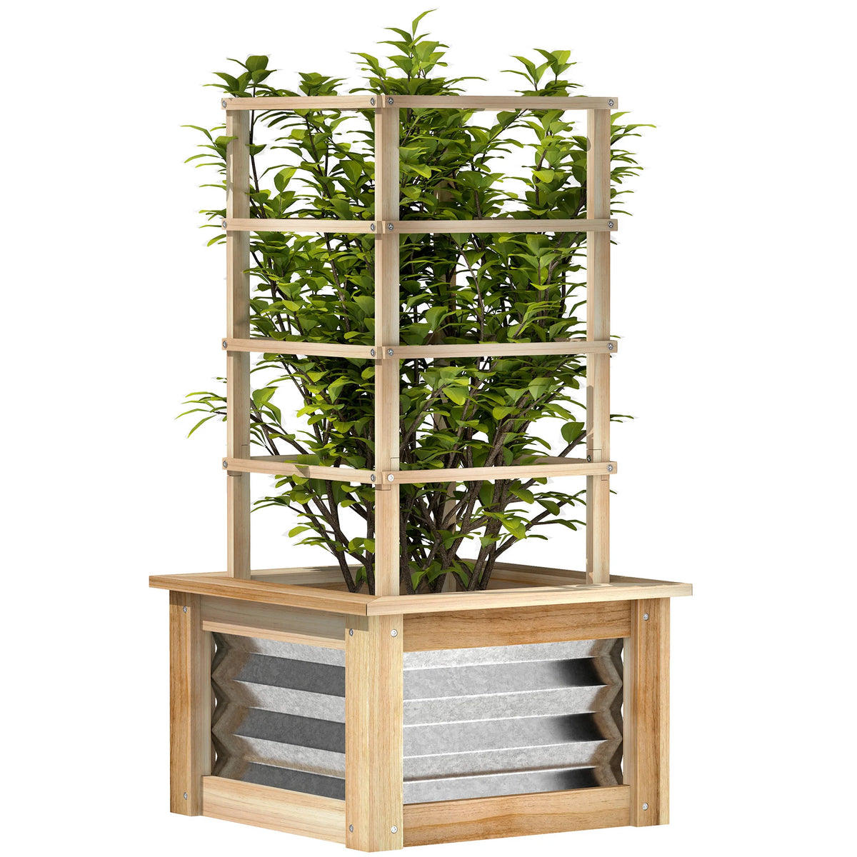potager surélevé treillis bois clair feuillage vert panneaux métalliques rustique jardinage