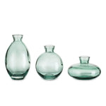 vases transparent modernes verre simple minimalistes bleu vert fleurs plantes