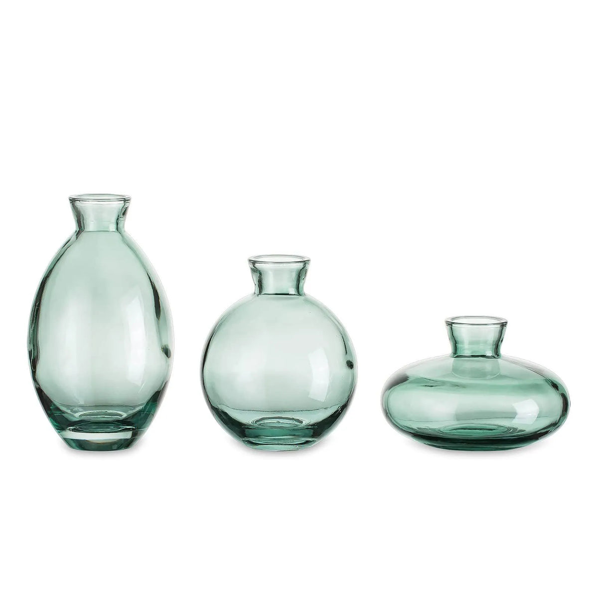 vases transparent modernes verre simple minimalistes bleu vert fleurs plantes
