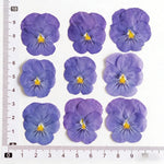 fleurs pressées violettes jaunes oranges decoration moderne assiette decoupe anniversaire intérieur maison
