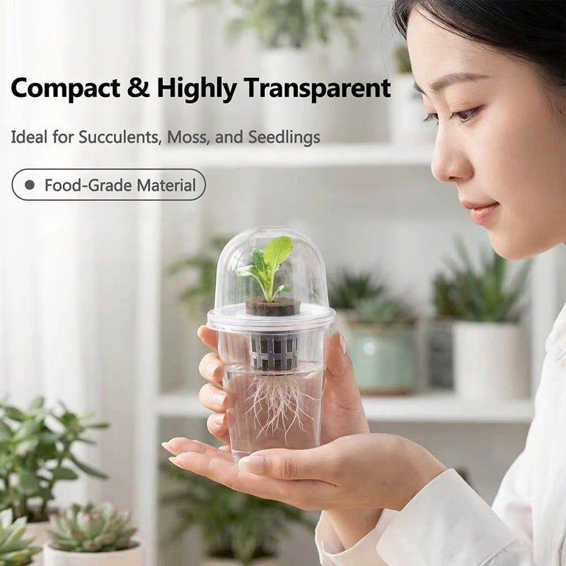 Pot plante moderne auto arrosant transparent controle racines drainage ornemental fleuri
