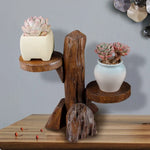 support plantes succulentes bois brut trois niveaux pots opaques rustique naturellementsucculentes