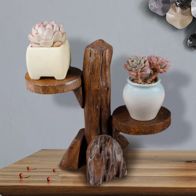 support plantes succulentes bois brut trois niveaux pots opaques rustique naturellementsucculentes