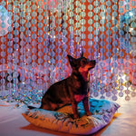 rideau decoratif disco festif cercles geometriques argent bleu semi transparent moderne event anniversaire mariage