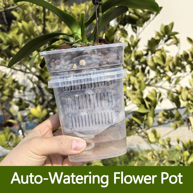 pots fleurs auto arrosants double couche absorption d'eau transparent moderne grille perforations couvercle