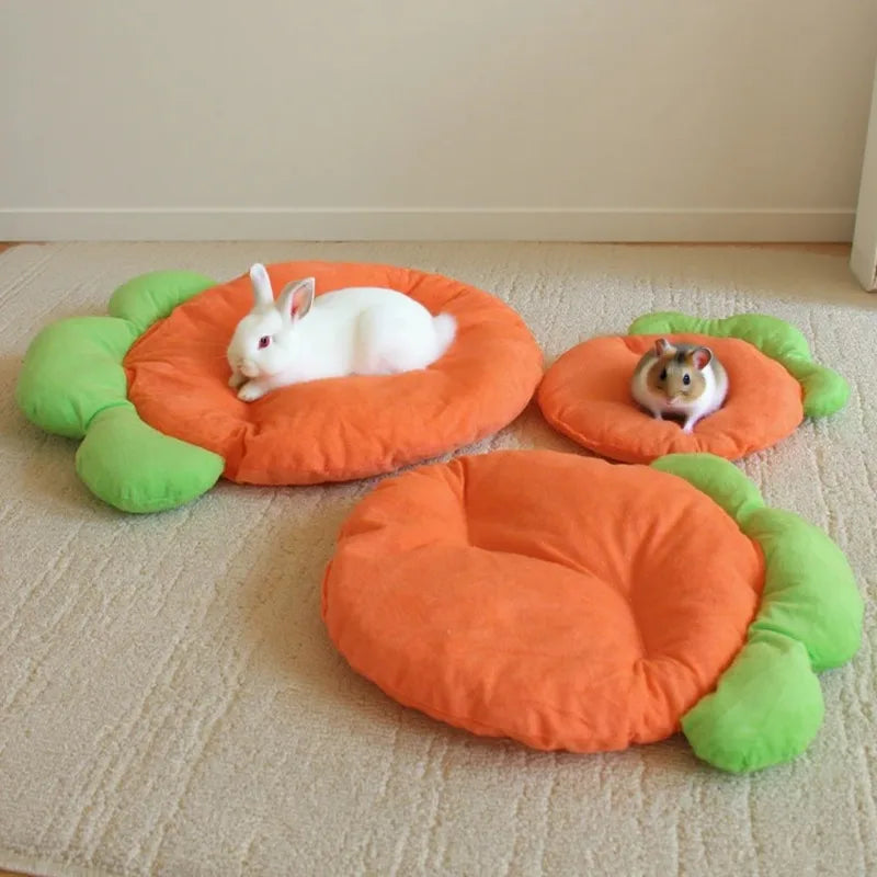 tapis chaleureux polaire forme carotte doux velours côtelé orange vert animaux compagnie lapin hamster
