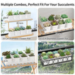 petit pot fleurs blanc plastique moderne cactus succulentes plateau intégré