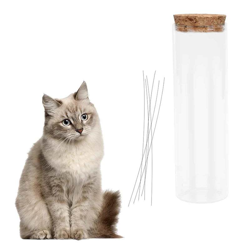 vase transparent souvenir chats bouteille verre liège aiguilles arbre chat décoration mémorial