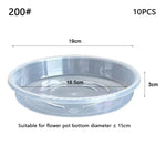plateau fleur transparent moderne rayures ondulées différentes tailles plantes maison set