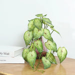 plantes artificielles feuilles vertes modernes sans pot extérieures 58cm 50cm
