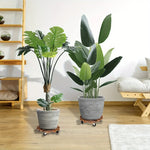 plateforme mobile plante roues verrouillables bois rustique 35cm diamètre 30cm 25cm
