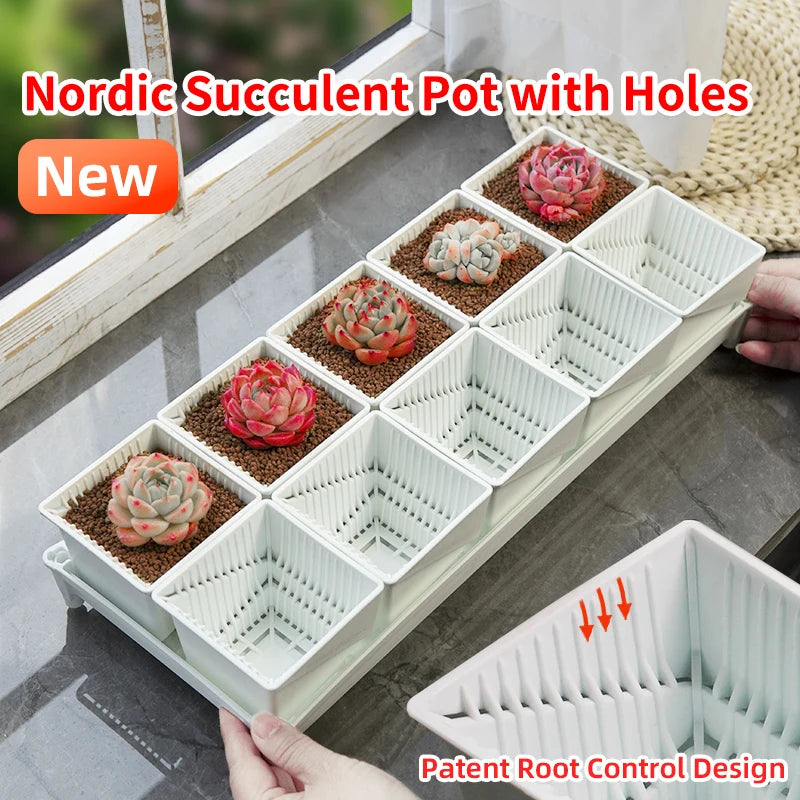 lot pot succulentes plastique blanc moderne trous drainage aération plantes maison