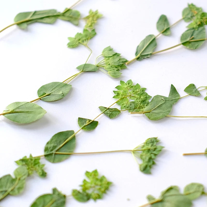 décoration intérieure feuilles séchées plantes vert fleurs nature rustique minimaliste anniversaire baby shower festive