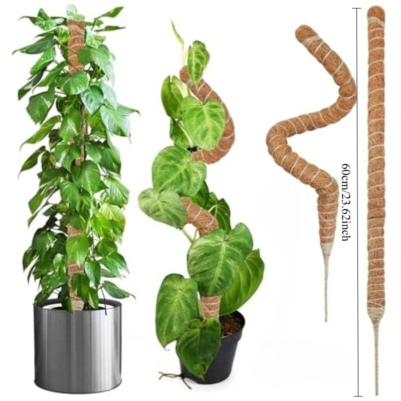 support plante grimpante fibre végétale marron clair naturelle rustique facile utiliser adhésif twine velcrointérieurextérieurbalconjardin