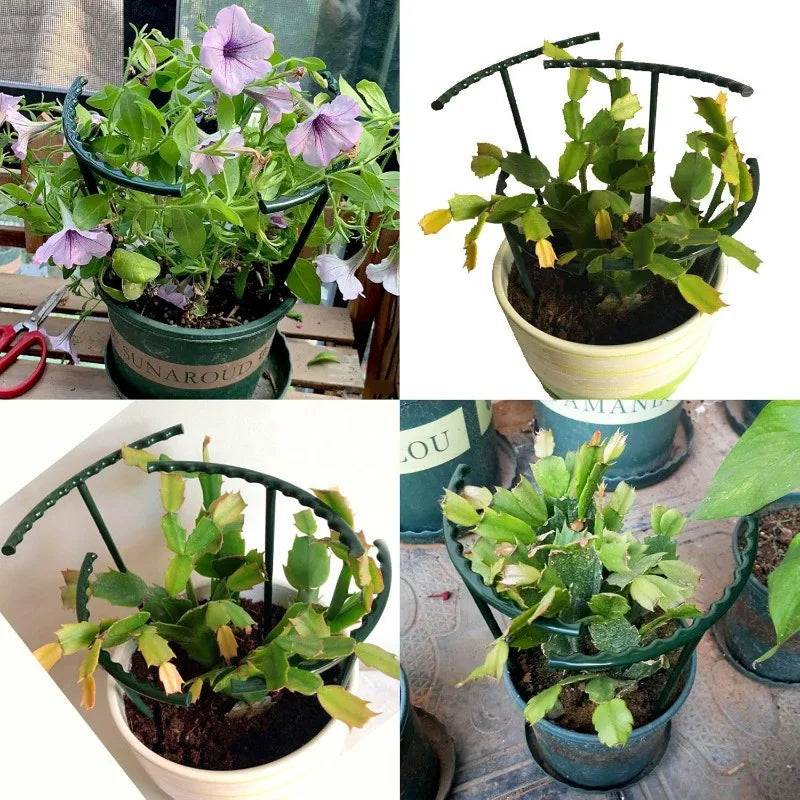 support plante vert foncé clips plastique peint pratique fleur grimpante bonsaï jardin arrangement