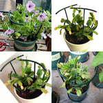 support plante vert foncé clips plastique peint pratique fleur grimpante bonsaï jardin arrangement