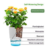 pot auto arrosant blanc transparent moderne bassin d'eau cordons absorbants drainage