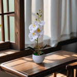 Décoration intérieure orchidée artificielle pot blanc violette bleue blanche minimaliste moderne